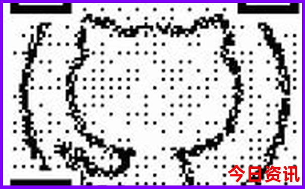 2025新澳门天天开奖资料